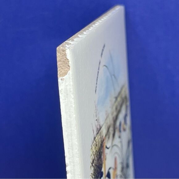 Ceramic 8x8 Avocet Bird Art Tile Trivet Mexico Recurvirostra Americana - Picture 7 of 7